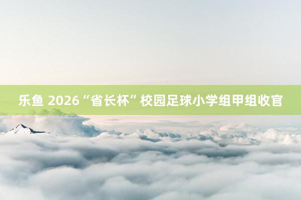 乐鱼 2026“省长杯”校园足球小学组甲组收官