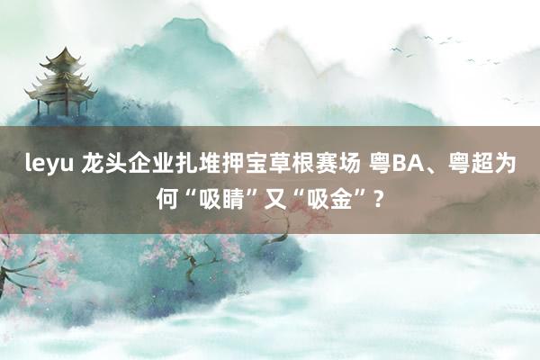 leyu 龙头企业扎堆押宝草根赛场 粤BA、粤超为何“吸睛”又“吸金”？