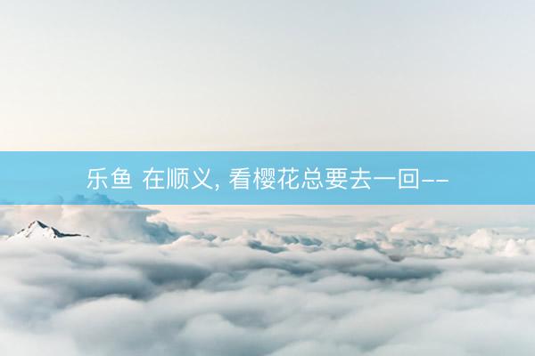 乐鱼 在顺义, 看樱花总要去一回--