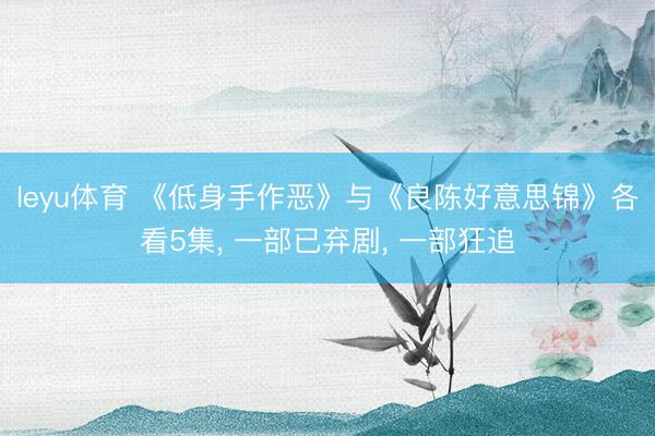 leyu体育 《低身手作恶》与《良陈好意思锦》各看5集， 一部已弃剧， 一部狂追