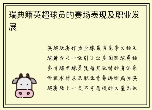 瑞典籍英超球员的赛场表现及职业发展